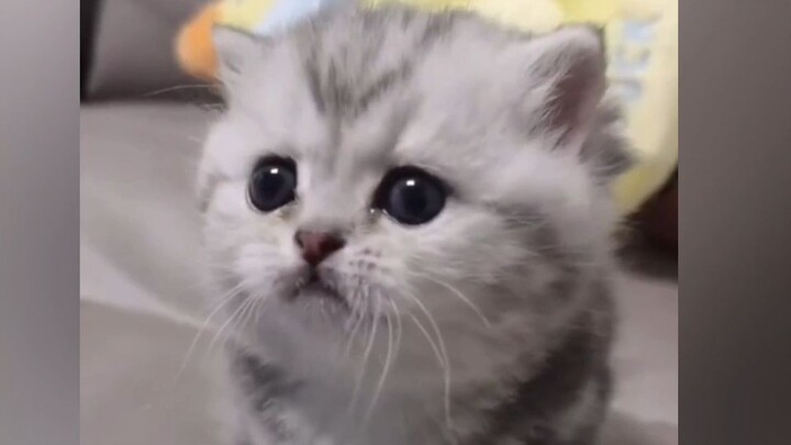 “ตัวน่ารักขี้อ้อนสุดๆ”