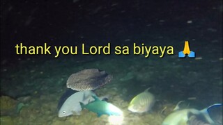 NIGHT SPEARFISHING PHILIPPINES 🇵🇭unang sabak sa gabi my biyaya agad catch and sell