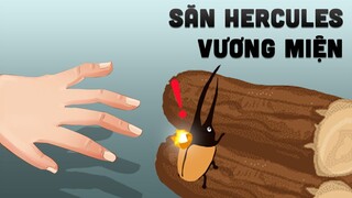 PLAY TOGETHER | SĂN "BỌ HUNG HERCULES VƯƠNG MIỆN" RỚT NƯỚC MẮT | MÈO MỤP