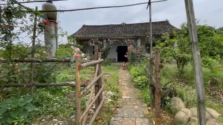 April is the most beautiful season in the yard every year—even if the vegetables aren’t exactly toug