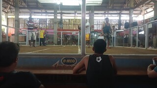 win kelso