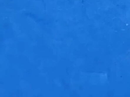 Knows How to Have Fun