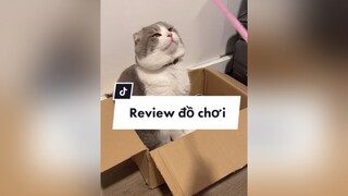 Review đồ chơi mình mới mua nhaa, món thứ 3 ai nuôi mèo cũng nên có nha =))) mèo cat cutecat xuhuong foryou catsoftiktok