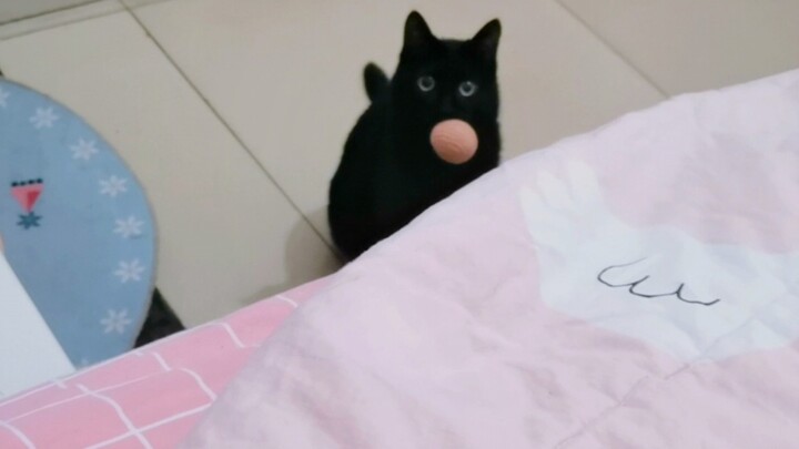 I will really cry when Coal Ball holds the ball in its mouth