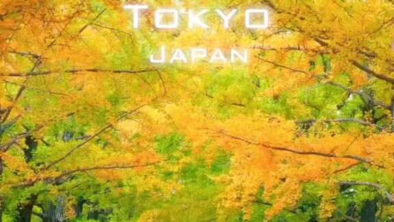 tokyou
