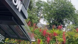 有些怀念去高街吃麻辣烫喝柠檬水的日子，那会大家都还在。