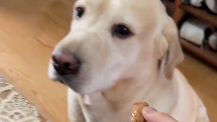 I'm totally fed up with you.