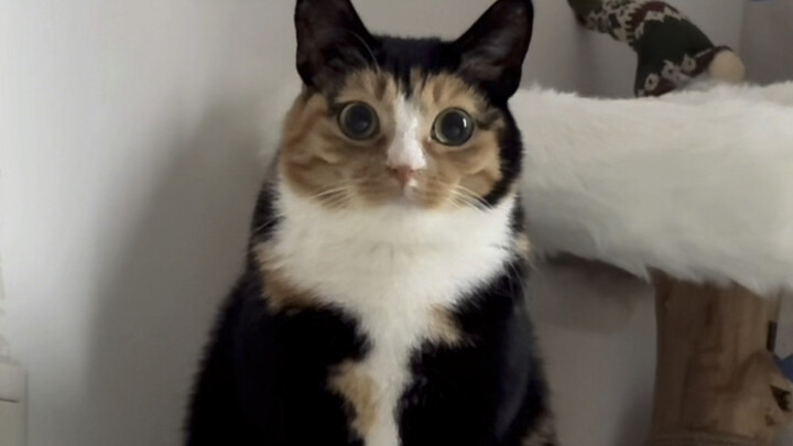 Hey, I’ve got a hoodie.