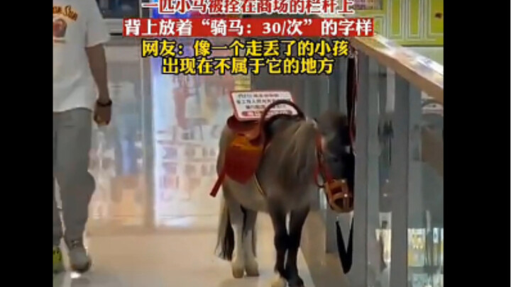 Netizen kali ini tetap penuh rasa iba