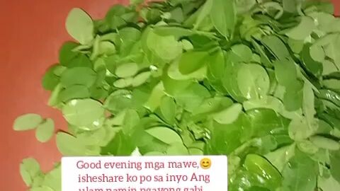 easy ulam😊
