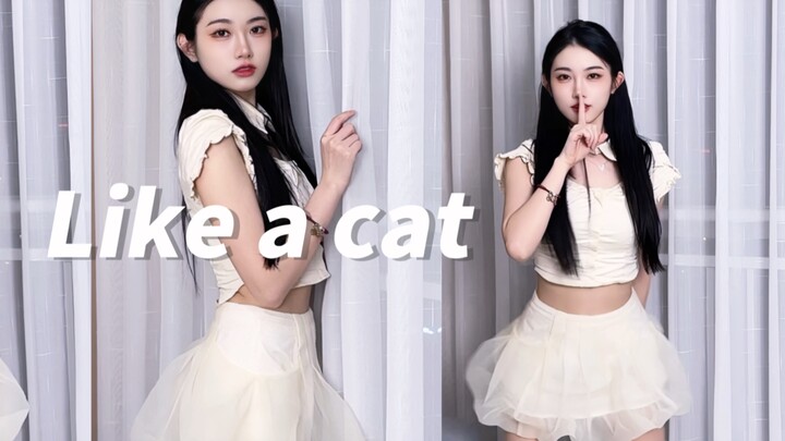 like a cat- I am definitely your best little cat