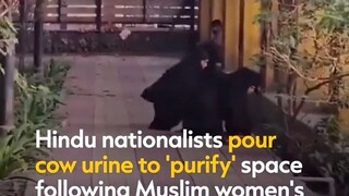 Indian restaurant using cow 🐄 urine as cooking oils.