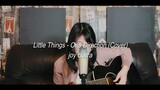 Little Things - One Direction (Cover)