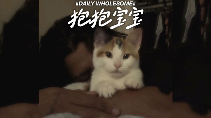 Mèo con chỉ đạp sữa khi chúng ở trạng thái thư giãn nhất thôi 🥺