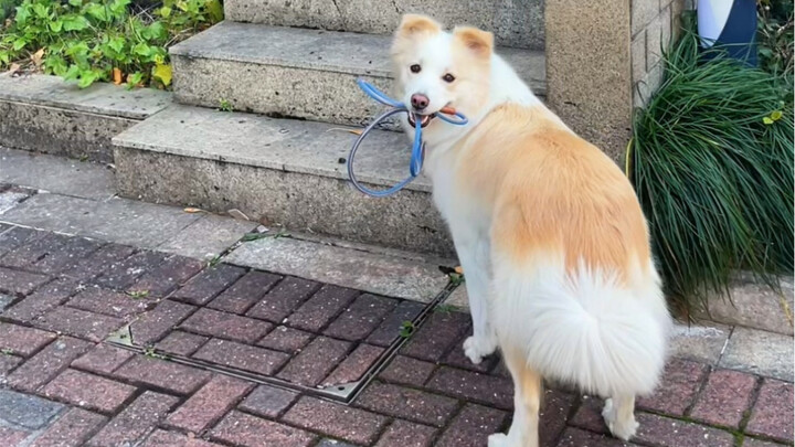 Y’all, should we get a pet for Chen Bella? If it weren’t for her severe allergies, I’d totally be wi