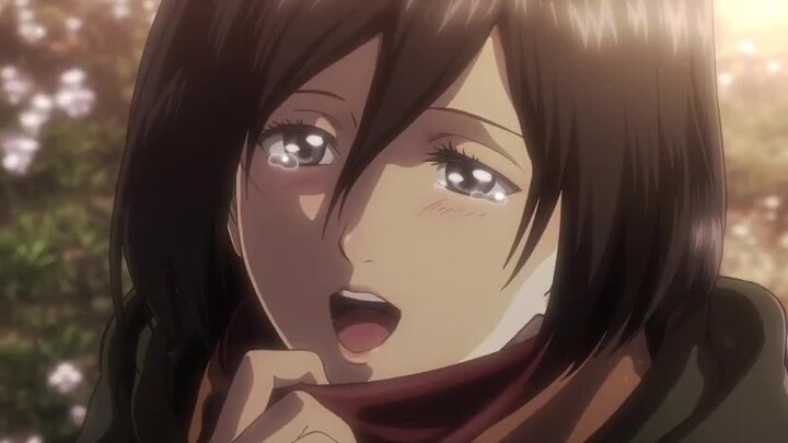 Mikasa's true confession to Eren, Eren's straight-man response