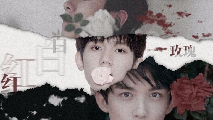 [Wu Lei x Wang Yuan x Liu Haoran] Mawar merah putih｜Hiburan AU｜Aktor x penyanyi x fotografer