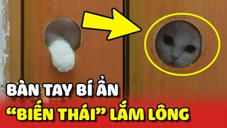 Phát hiện "BIẾN THÁI" LẮM LÔNG tìm cách ĐỘT NHẬP phòng trọ của cô gái trong đêm 😂 | Yêu Lu