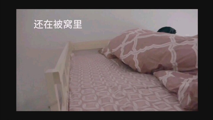 【يان هاوكسيانغ】اكتشاف أثري! كيف يمكن لدبّي الصغير أن يكون لطيفًا حتى عند الاستيقاظ من النوم!!! مُتَع