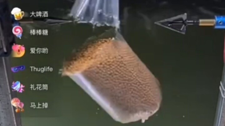 First time seeing a bag fall down