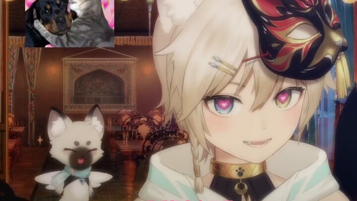 Can you shake it a little louder?!