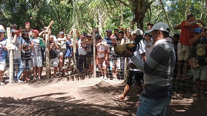 Hindi Gwapo Pero Kung Pumalo Solido 💪💪