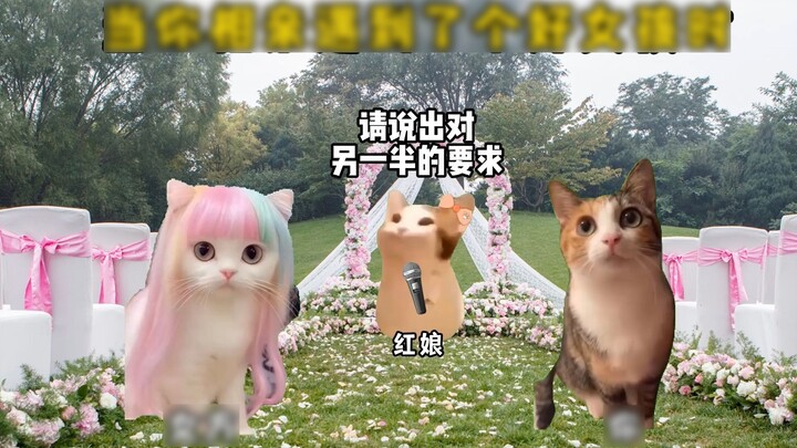 Ketika Anda bertemu gadis baik pada kencan buta!