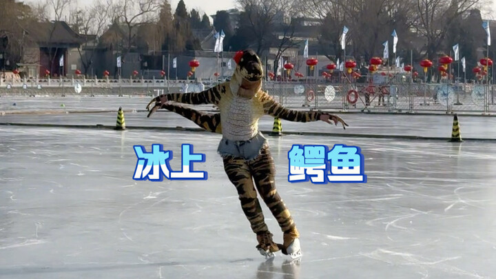 Cá sấu: Chào mừng đến với sân nhà của loài động vật máu lạnh!