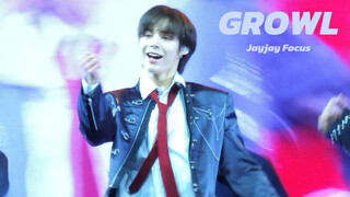 250111 smt jayjay/JUSTIN Growl gầm lên thẳng thừng