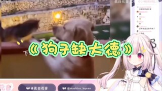 【真白花音】日本萝莉看《狗狗缺大德》