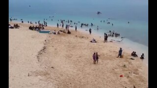 想我了就找我  别管我是不是在睡觉 是不是心情不好 是不是在吃饭  是不是会打扰 你需要 我就在