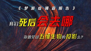 三维生物为何想象不出高维世界？低维世界可以困住高维生物么？——《梦游症调查报告》-我们死后会去哪里