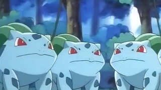 Bulbasaur was kidnapped? For the purpose of evolving it?!