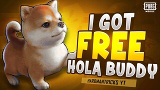 OMG ! I got free hola buddy in pubg mobile Teddy Bear Hola buddy spin Free shiba inu Dog & Cat