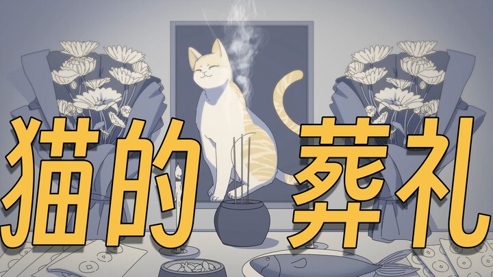 我的猫死了，我在农村帮它办了一场葬礼