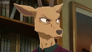 【Animal Rhapsody 12】กลุ่มสิงโตเริ่มเปลี่ยนรูปลักษณ์