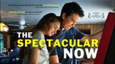 The Spectacular Now (2013)