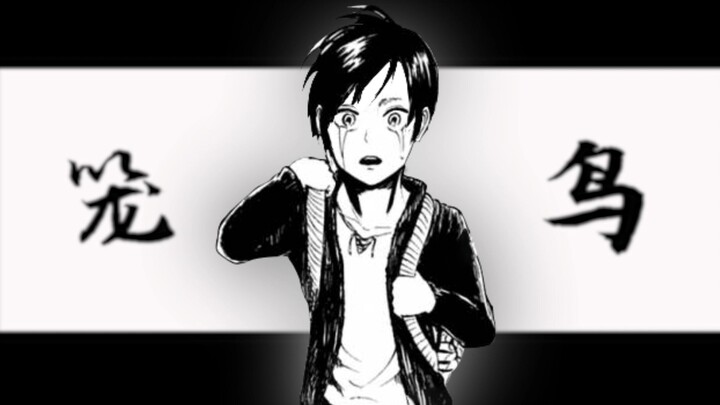 【𝑫𝒂𝒚 𝒍𝒊𝒈𝒉𝒕】- 笼 中 鸟