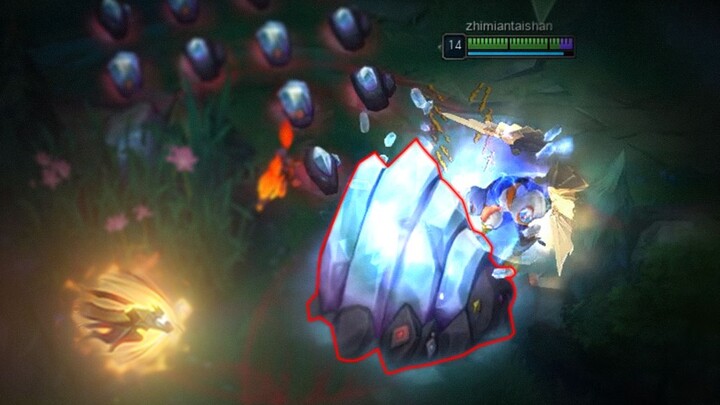 发明人：直面泰山  发明项目：功夫鸡