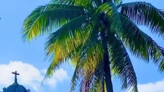 每個人都有自己生活的軌道，也都有著自己的頻率，一路前行的時候，如果總是因為別人的三言兩語與議論紛紛就束縛了自己前行的步伐，華麗的結局無論你如何用力都是難以漂亮書的。