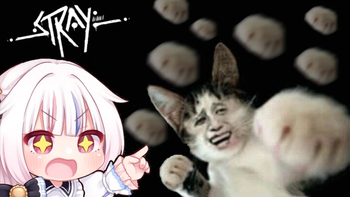 For my sake, please use cat punch on him.