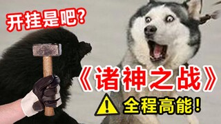 Tôi là đồ treo, bạn đừng nói nữa