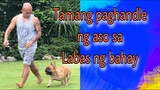 Tamang paghandle ng aso kapag nasa labas ng bahay// anong mga tali ang dapat gamitin.