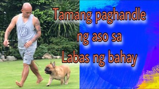 Tamang paghandle ng aso kapag nasa labas ng bahay// anong mga tali ang dapat gamitin.