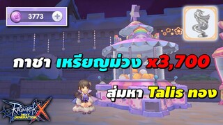 สุ่มกาชา เหรียญม่วง x3,700 หา ประดับทอง (Talis เจาะเกราะ) | Ragnarok X Next Generation (ROX)