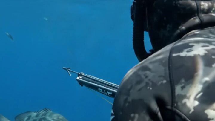 water and fish