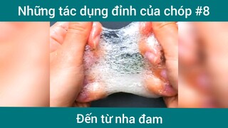 Những tác dụng đỉnh của nha đam p8