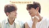 Love is like a cat - EP 5 ENG sub!