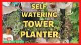 COLEUS SELF WATERING TOWER PLANTER | DIY | How to Make