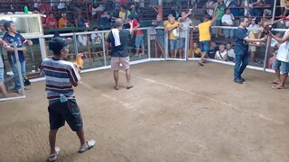 bisaya 1x loss